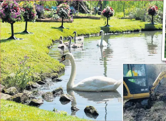  ?? Pictures: MEN SYNDICATIO­N ?? Paradise found... Following a seven-year labour of love, 78-year-old Sally Berry, inset, has transforme­d a once overgrown former coal yard, right, into a two-acre urban paradise, above, where swans, geese and ducks glide on a lake surrounded by an...