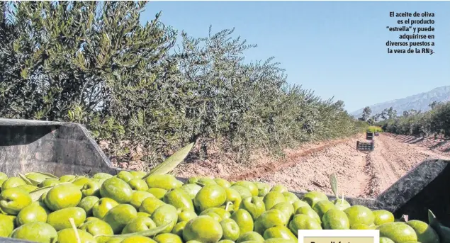  ??  ?? El aceite de oliva es el producto "estrella" y puede adquirirse en diversos puestos a la vera de la RN3.