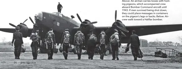  ?? ?? Above: An airman carries boxes with homing pigeons, which accompanie­d crew aboard Bomber Command aircraft until 1943. If men survived being shot down, they could place messages in containers on the pigeon’s legs or backs. Below: Aircrew walk toward a Halifax bomber.