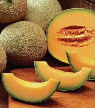  ?? [ FOTO AGENSI ] ?? Rockmelon atau tembikai wangi dari timur New South Wales dipercayai punca penyebaran wabak listeria di Australia.