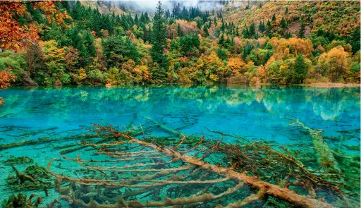  ??  ?? Autumn colors of the Jiuzhai Valley, Aba, Sichuan Province.
