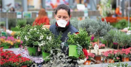  ?? — dpa ?? Plant shop experts say you need to be patient and limit your expectatio­ns when shopping.