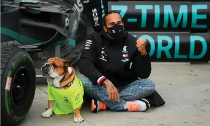  ?? Photograph: Clive Mason/Reuters ?? Roscoe and his owner, Lewis Hamilton, at the Turkish grand prix.