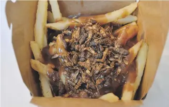  ??  ?? Is your hunger bugging you? Try the cricket fries at the PNE.