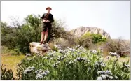  ?? AP PHOTO BY CHRISTIAN K. LEE ?? Park Ranger David Low speaks about amsonia bushes, foreground, during a hiking tour at the Spring Mountain Ranch State Park on 2017 in Blue Diamond, Nev.