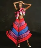  ?? Photograph: PR ?? Colour blast: skirt by Charles de Vilmorin.