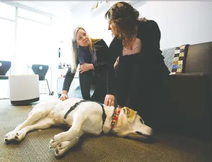  ?? DAVID BLOOM ?? Zebra Child Protection Centre chairwoman Allison Mccollum, left, and Children’s Services Minister Rebecca Schulz visit with therapy dog Wren before a news conference Friday to announce a new provincial funding model for child advocacy centres across the province.