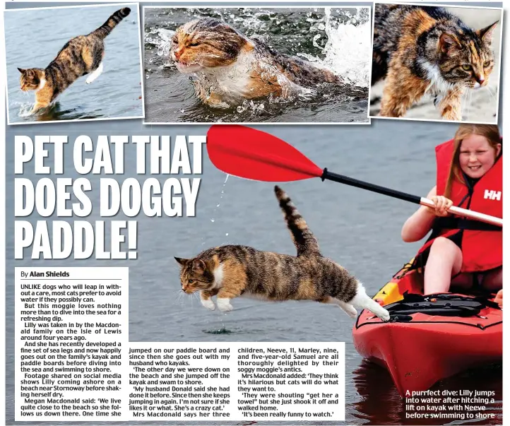  ??  ?? A purrfect dive: Lilly jumps into water after hitching a lift on kayak with Neeve before swimming to shore