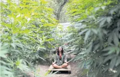  ?? REUTERS ?? An activist shows a place to meditate inside the cannabis protest garden, next to Mexico’s Senate building in Mexico City.