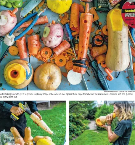  ?? PHOTOS BY JOHNNY MILANO/THE NEW YORK TIMES ?? After taking hours to get a vegetable in playing shape, it becomes a race against time to perform before the instrument­s become soft and gummy, or overly dried out. At left, a member of the Long Island Vegetable Orchestra hollows out a root vegetable....