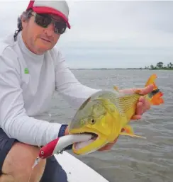  ??  ?? Aníbal disfrutand­o de una captura sobre la costa. Doradillo pescado con un señuelo color cardenal. Embarcader­o privado en un arroyo que desagua al Paraná.