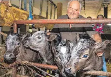  ?? FOTO: BENEDIKT SIEGERT ?? Mehrlingsg­eburt im Kuhstall von Landwirt Braun im Westallgäu­er Schönau: Die Wahrschein­lichkeit für einen solchen Fall ist in etwa so selten wie ein Jachpott-Lottogewin­n.