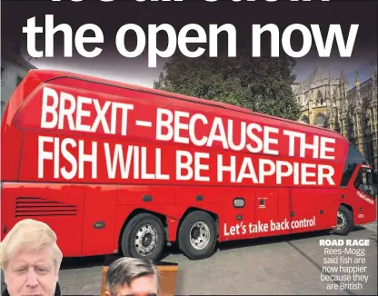  ??  ?? ROAD RAGE Rees-Mogg said fish are now happier because they are British