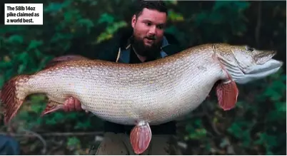  ??  ?? The 58lb 14oz pike claimed as a world best.