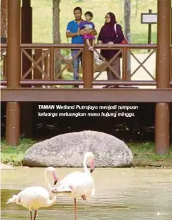  ??  ?? TAMAN Wetland Putrajaya menjadi tumpuan keluarga meluangkan masa hujung minggu.