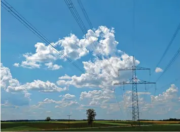  ?? Foto: Bernhard Weizenegge­r ?? Nicht nur die großen Stromtrass­en, gerade auch intelligen­te, regionale Netze sind wichtig für eine grüne, dezentrale Energiezu kunft, meint Lechwerke Chef Markus Litpher.