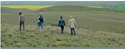  ?? FOTO: AMELIA GENIS ?? Wes-Kaapse boere kan in Julie leer hoe om die skaars en bedreigde renosterve­ld op hul plaas te bestuur.