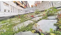  ?? RP-FOTO: RUHNAU ?? Vor dem Bastians am Carlsplatz wuchert ein abgesperrt­es Stück Straße immer mehr zu. Passiert ist seit Monaten nichts.