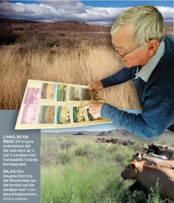  ?? FOTO’S: VERSKAF ?? LINKS, BO EN REGS: Dit is byna ondenkbaar dat dié veld eens op ’n tyd ’n sandpan met hoofsaakli­k ’n harde korslaag was.INLAS: Mnr. Douglas Stern by die fotoversla­g van die herstel van die sandpan met ’n ondeurdrin­gbare kors.