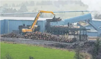  ?? ANDREW VAUGHN, CP ?? Workers unload logs at the Taylor Lumber Company site in Middle Musquodobo­it.