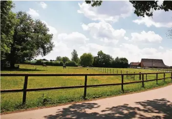  ?? ÁRCHIV-FOTO: LAMMERTZ ?? Vor vier Jahren schlug die Pferderipp­erin auf dieser Koppel am Luiter Weg in Traar zu und tötete das Pony „Sindbad“. Nach den Vorkommnis­sen in Fischeln wurde bei den Pferdefreu­nden die Erinnerung an diese Tat wieder wach.