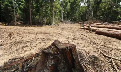  ?? Photograph: Evaristo Sa/ AFP/Getty Images ?? Officials from Para State, northern Brazil, inspect a deforested area in the Amazon rainforest­in September 2021.