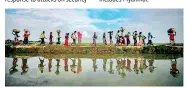  ??  ?? Rohingya refugees are reflected in rain water along an embankment next to paddy fields after fleeing from Myanmar into Palang Khali, near Cox’s Bazar, Bangladesh