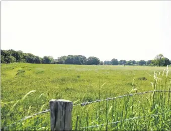  ??  ?? Fields surroundin­g Court Lodge Farm to the south of Pound Lane have been earmarked for new housing, a school, shops and medical facilities