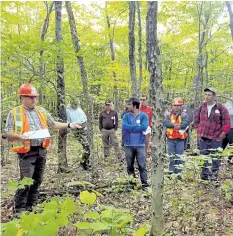  ?? BRIAN E. ROTH/ UNIVERSITY OF MAINE VIA AP FILES ?? In a Sept. 15, 2016 photo provided by the University of Maine, Gaetan
Pelletier of the Northern Hardwoods Research Institute describes diseased beech problem to members of the University of Maine Cooperativ­e Forestry Research Unit in a stand of...