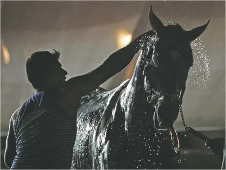  ?? PHOTOS BY CHARLIE RIEDEL/THE ASSOCIATED PRESS ?? A horse gets a bath Wednesday after a morning workout at Churchill Downs in Louisville, Ky. Even veteran horse trainers can’t pick a favorite for the 144th running of the Kentucky Derby, which is scheduled for Saturday.