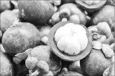  ??  ?? Mangosteen, particular­ly its rind, is said to contain many health properties