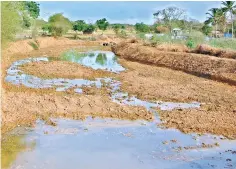  ??  ?? Poor water flow at an irrigation canal at Reddiapatt­i in Thanjavur