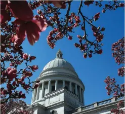  ?? ARKANSAS DEMOCRAT-GAZETTE FILE PHOTO ?? Outside the state Capitol building, a vibrant tulip magnolia tree begins to bloom.