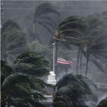  ?? Foto: David Goldman, dpa ?? Mit aller Macht zerrt Hurrikan „Irma“am Sonntag an den Palmen und der amerikanis­chen Flagge in der Stadt Naples im Südwes ten Floridas.