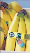  ??  ?? Complicate­d: Shopping is a stressful business, but surely nothing can go wrong in buying Fairtrade bananas.