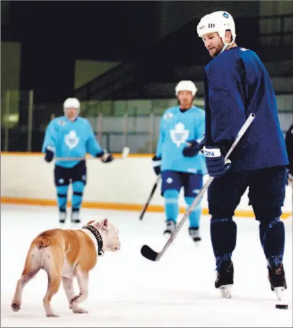  ?? VINCE TALOTTA/TORONTO STAR ?? Toronto winger Jeff O’Neill enlists the help of his bulldog Pudgee at practice yesterday as the team prepares for tough road games tonight in Buffalo and tomorrow in Montreal. The Leafs will ice a healthy roster against the Sabres for the first time...