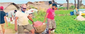  ??  ?? The fishermen leaving their temporary fishing huts in Mullaitivu.Pic by T. Thayalan