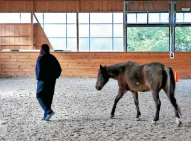  ?? SUBMITTED PHOTO ?? A Chester County Prison inmate is seen walking with one of the horses used in an equine therapy program run in cooperatio­n with Gateway HorseWorks at the Thorncroft Equestrian Center in East Goshen.