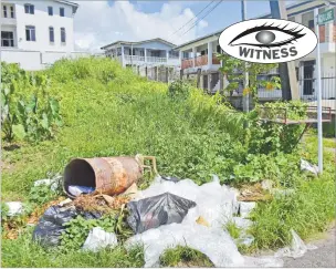  ?? Picture: ATU RASEA ?? Rubbish dumped along Koki Lane near Kinoya, Nasinu.