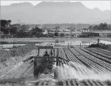  ?? PHOTO: DAVID RITCHIE/AFRICAN NEWS AGENCY (ANA) ?? Schaapkraa­l Philippi is an area of contrasts – the last stretch of farmland on the Cape Flats. The author warns that the land question in South Africa should be free of emotions.