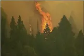  ?? NOAH BERGER — THE ASSOCIATED PRESS ?? The Windy Fire burns in Sequoia National Forest on Thursday.