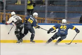  ??  ?? BRA FLYT. Borgålaget Hunters har bredd i anfallet, har nätat i medel 4,5 puckar per match och ligger fyra i tabellen.