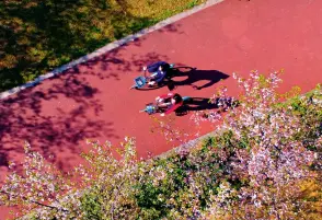  ??  ?? Au printemps, des touristes se baladent à vélo sous les cerisiers en fleurs de Nanchang (province du Jiangxi).