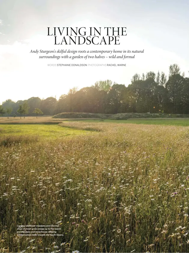  ?? PHOTOGRAPH­S RACHEL WARNE ?? Curving wildflower meadows and informal areas of mown grass sweep up to the awardwinni­ng glass and wood house, allowing uninterrup­ted views towards the South Downs. 32