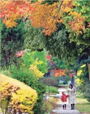  ?? MIKE DE SISTI / MILWAUKEE JOURNAL SENTINEL ?? Cocoa Harlaquinn, 4, and her mother, Carla Harlaquinn, of Shorewood walk to the park under a canopy of colorful fall trees on N. Newhall St. in Shorewood in 2014. This year the fall colors are expected to peak around Oct. 1 in south Wisconsin, a couple...