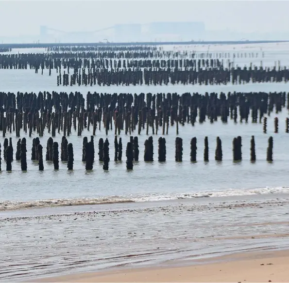  ??  ?? Moules sur bouchots dans le sud-Vendée. En 2013, la France a produit 145 000 tonnes de coquillage­s et 45 000 tonnes de poissons, dont 5 000 tonnes d’espèces marines (bar, dorades...).
