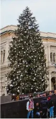  ?? Fotos: Andrea Principato/Alvise Armellini, dpa ?? Der Weihnachts­baum in Rom und der Weihnachts­baum auf der Piazza del Duomo vor der Kathedrale in Mailand (rechts): Die bei den italienisc­hen Städte liefern sich in vielen Bereichen einen Wettkampf.