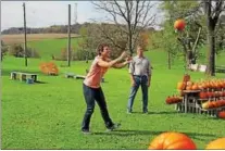  ?? MARCELLA PEYRE-FERRY — DAILY LOCAL NEWS ?? Farm owners Rhonda and Jeff Stoltzfus toss pumpkins.