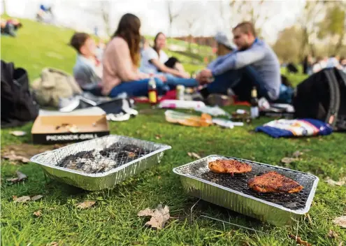  ?? FOTO: SEBASTIAN GOLLNOW/DPA ?? Ein Ausflug ins Grüne ist zu jeder Jahreszeit toll. Besonders im Sommer kann man länger draußen sitzen und das Wetter genießen. Ist dann noch ein leckeres Picknick zur Stärkung dabei, macht das Ganze gleich noch viel mehr Spaß.