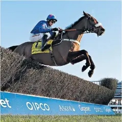  ??  ?? Foot perfect: Cue Card and Paddy Brennan clear the last at Ascot yesterday